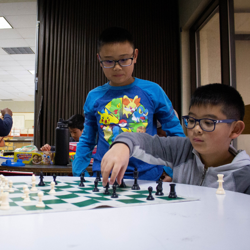 Chess Club: From Basics to Brilliance