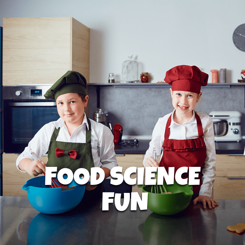 Food Science: Food Science Fun - Brains & Motion