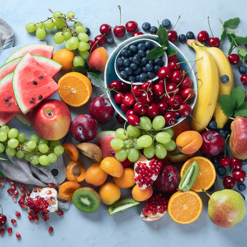 Food Science: Food Science Fun - Brains & Motion