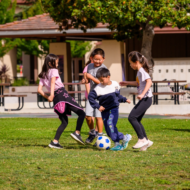 Sports Adventures: Soccer - Brains & Motion
