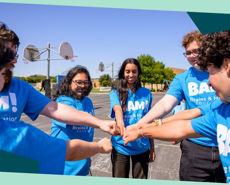 Bam Program Partnering for Success | Getting Started with BAM! – Brains & Motion