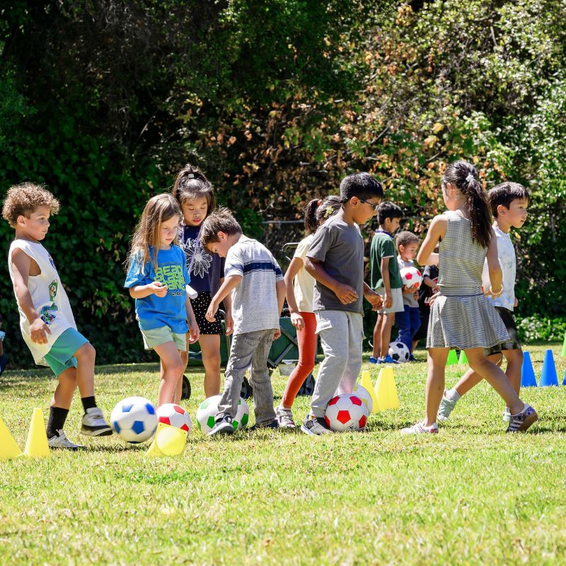 Chicago World Language Academy