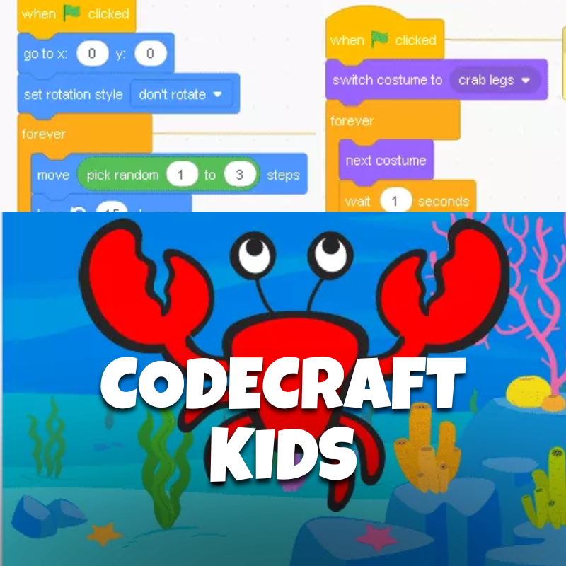 STEM After-School Courses – Brains & Motion