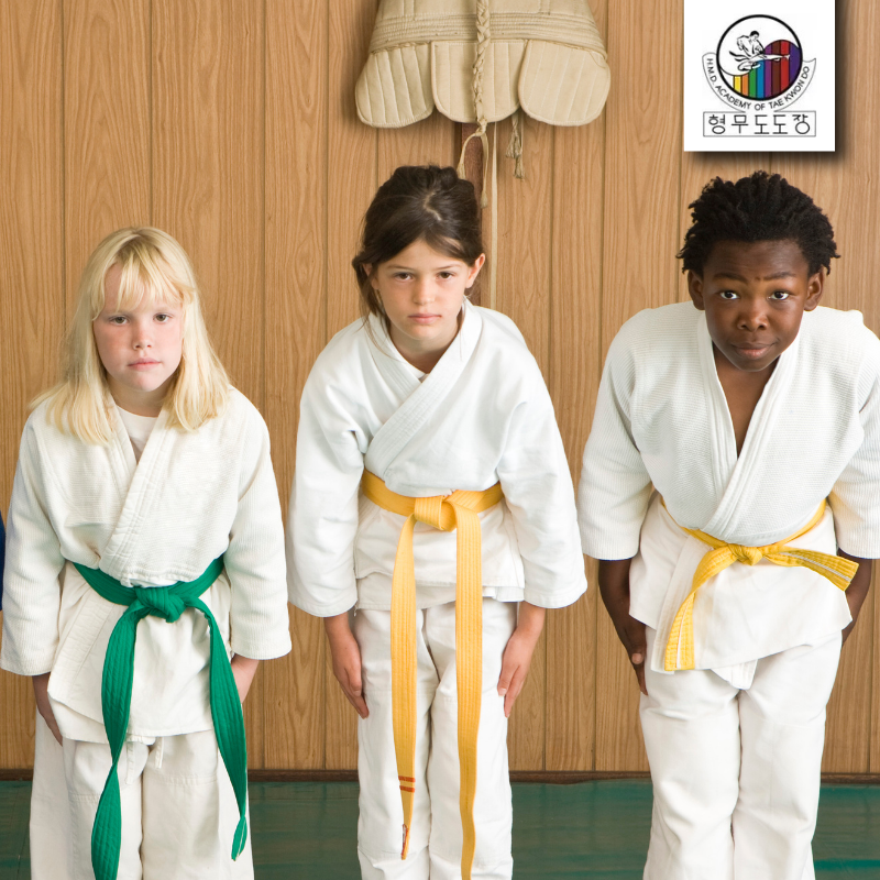 Tae Kwon Do from HMD Academy