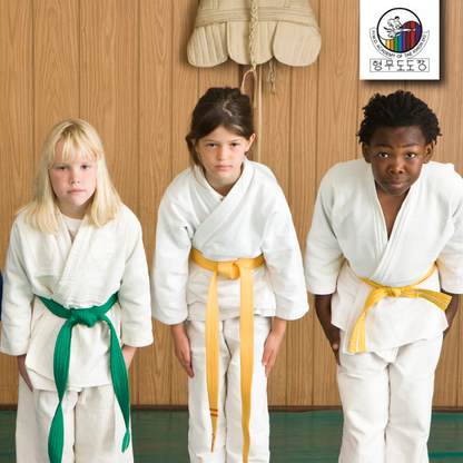 Tae Kwon Do from HMD Academy