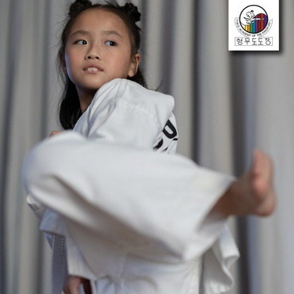 Tae Kwon Do from HMD Academy
