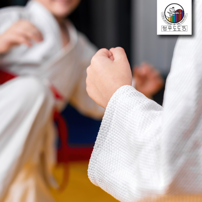 Tae Kwon Do from HMD Academy