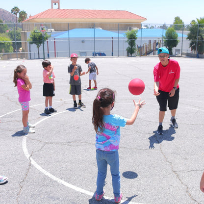 Robotics with Dash Robots