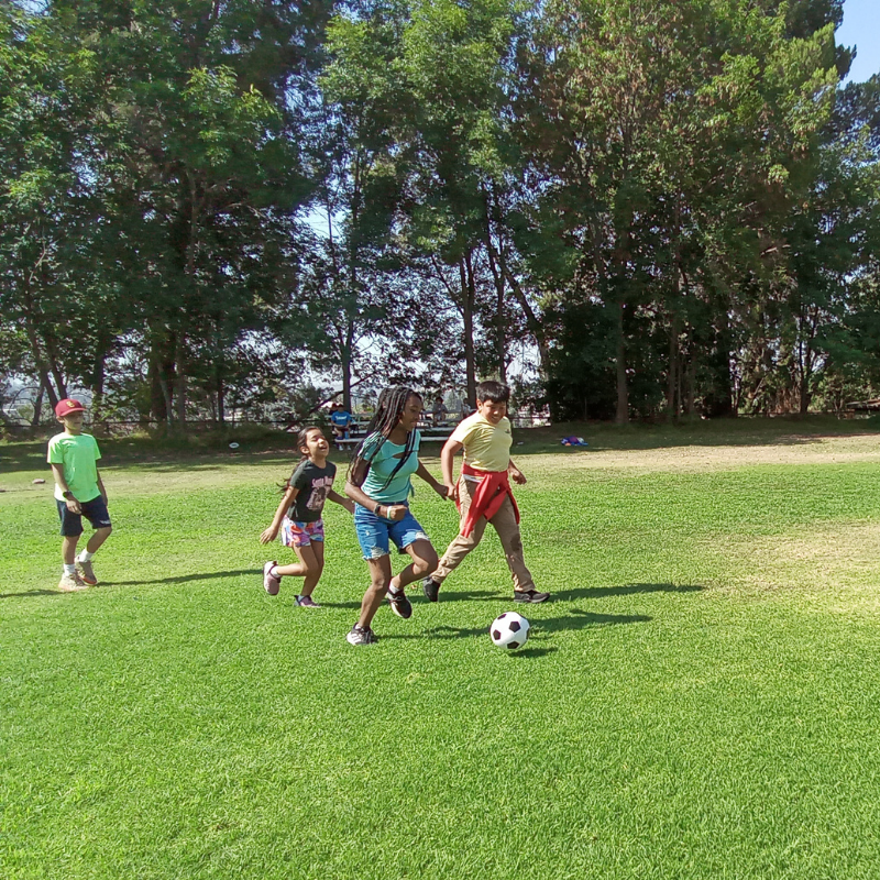 Robotics & Engineering Lab with LEGO & Micro:bit