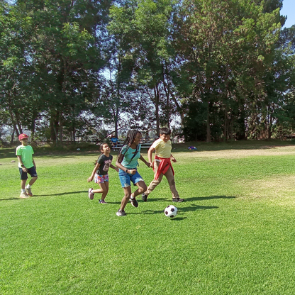 Robotics & Engineering Lab with LEGO & Micro:bit