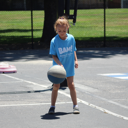 Robotics with Dash Robots