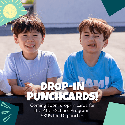 Drop - In Punch Cards - Brains & Motion