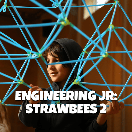 Engineering Junior: Strawbees 2 - Brains & Motion