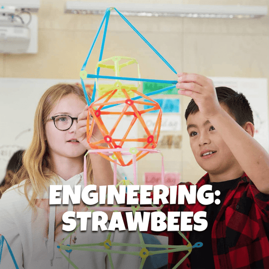 Engineering: Strawbees - Brains & Motion