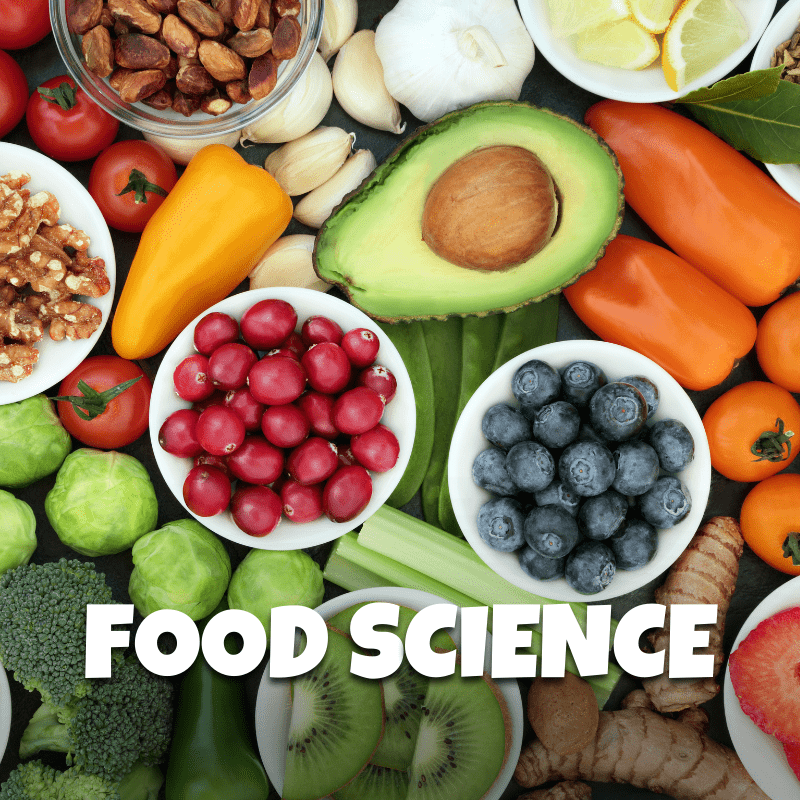 Food Science - Little Chefs, Big Ideas - Brains & Motion