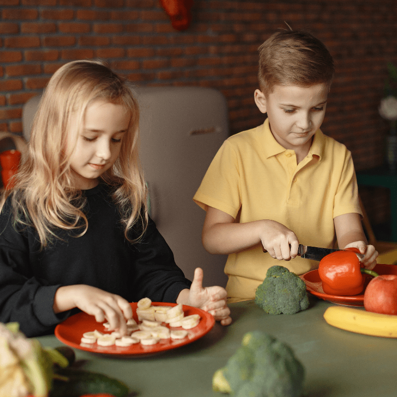 Food Science: Nutrition Explorers - Brains & Motion