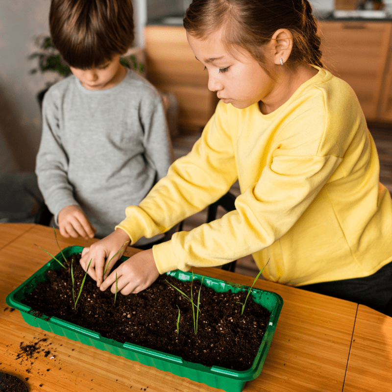 Gardening Innovators - Brains & Motion