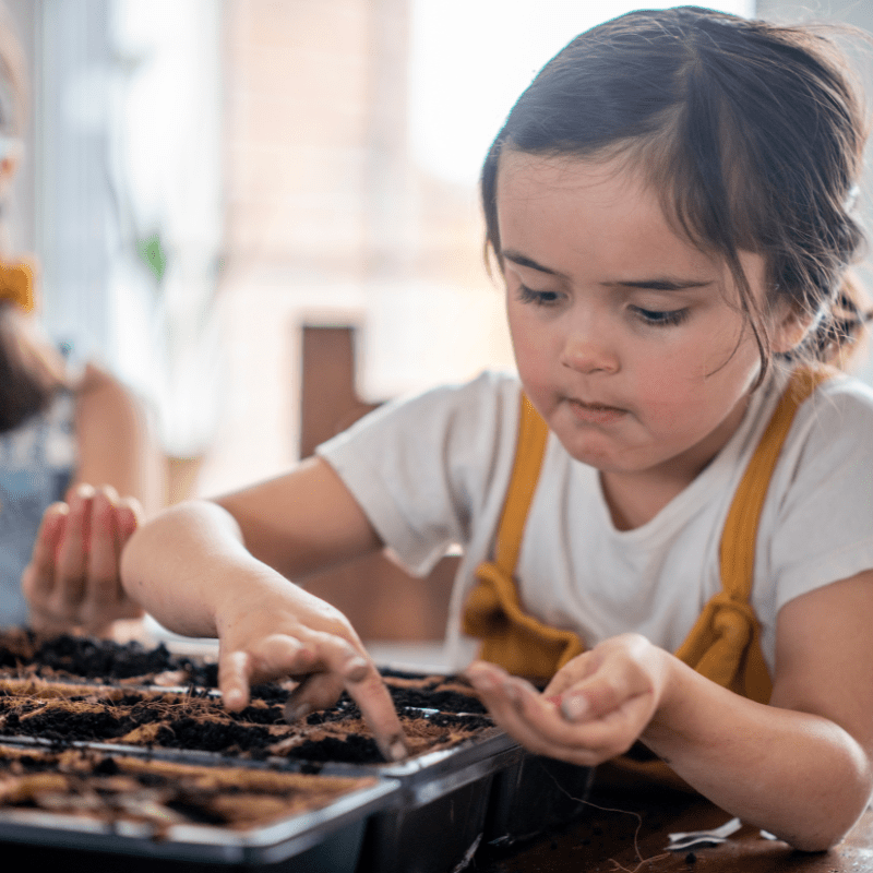 Gardening Innovators - Brains & Motion