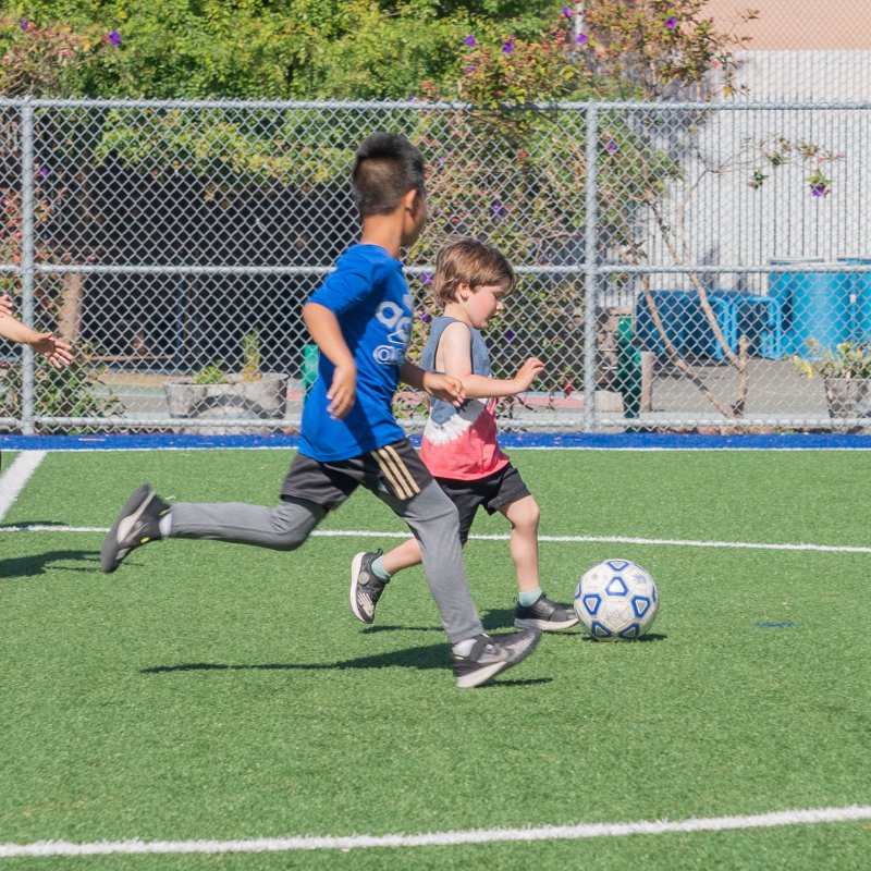 STEAM & Fitness Fusion Holiday Camp - Brains & Motion