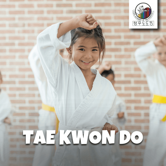 Tae Kwon Do from HMD Academy - Brains & Motion